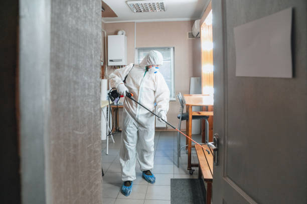 Best Post-Construction Mold Inspection  in Wayland, MI