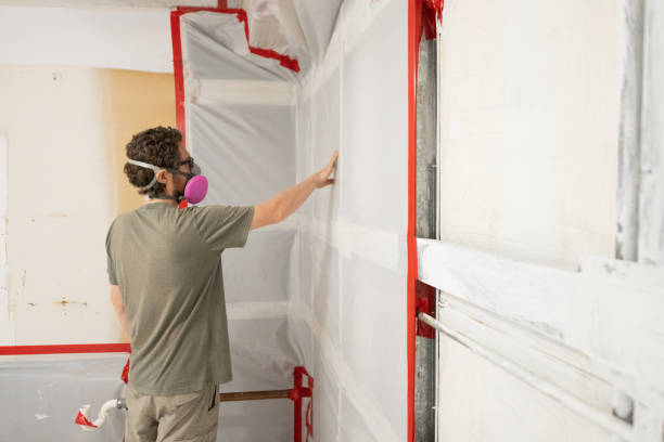 Best Air Quality Testing for Mold Spores  in Wayland, MI