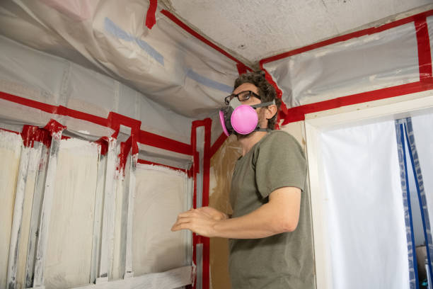 Best Forensic Mold Investigation  in Wayland, MI