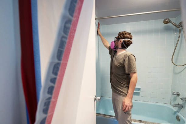 Best Mold Damage Restoration  in Wayland, MI