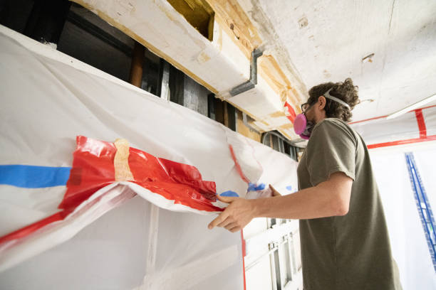 Trusted Wayland, MI Mold Removal Experts