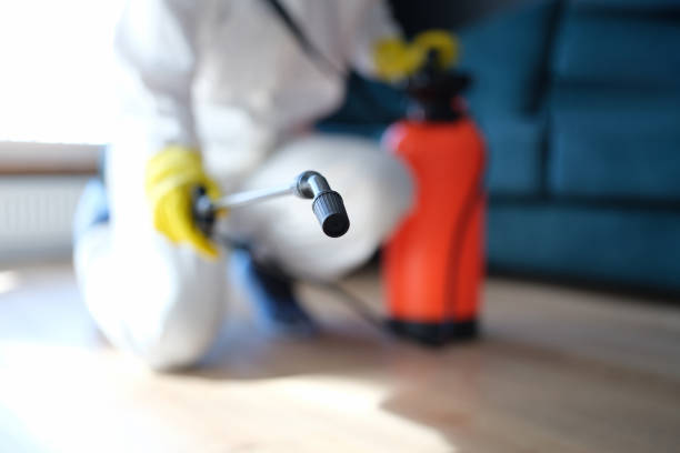 Asbestos and Lead Testing During Mold Inspection in Wayland, MI