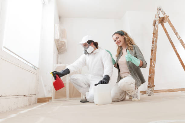 Best Biohazard Mold Removal  in Wayland, MI