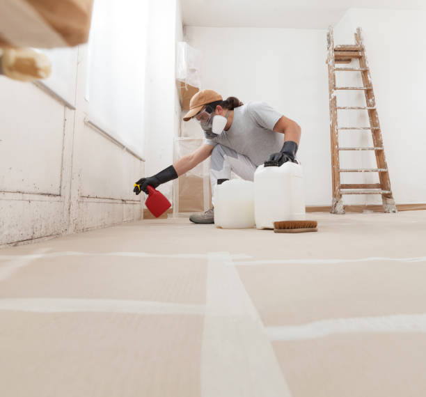 Best Asbestos and Lead Testing During Mold Inspection  in Wayland, MI