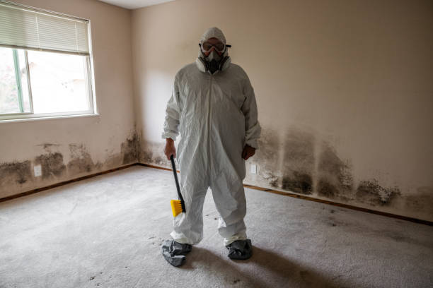 Best Residential Mold Inspection & Testing  in Wayland, MI